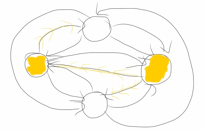 Fully connected graph with active nodes and only some edges propogating messages.
