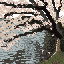 cherry tree 64 by 64 pixels with color palette from photo