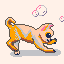 octobit puppy